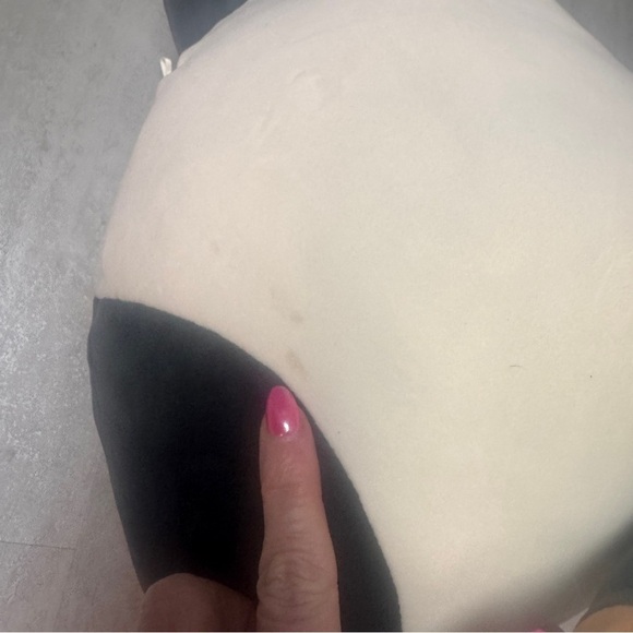 Squishmallows Cam the Calico Cat - Picture 8 of 8